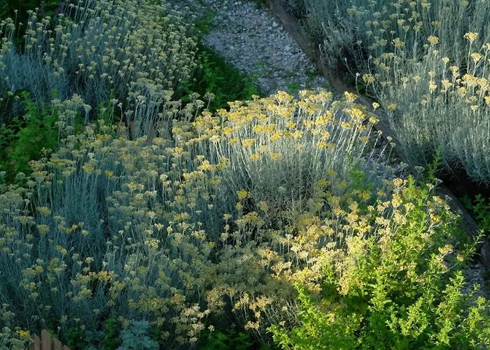 Felice_unesco Alps Area Villa Verzuolo